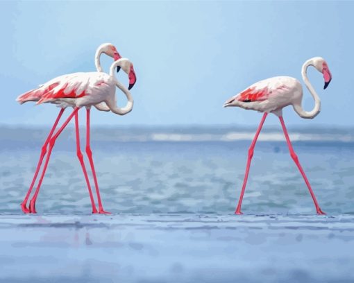 White Pink Flamingos paint by numbers