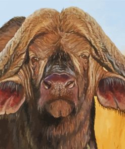 Wild Buffalo paint by numbers