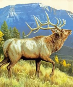 Wild Elk Animal paint by numbers