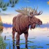 Wild Moose Animal paint by numbers