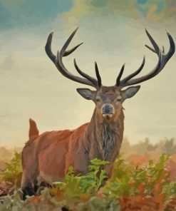 Wild Stag Animal paint by number