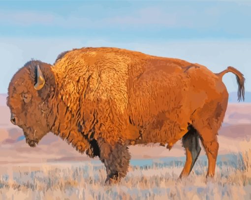 Wildlife Bison paint by numbers