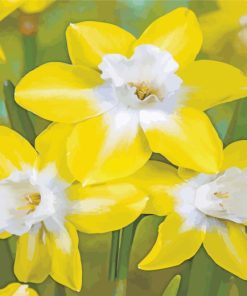 Yellow Daffodil paint by numbers