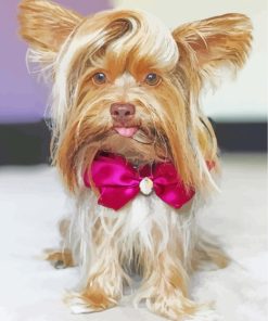 Yorkie Dog With Tie Bow paint by numbers