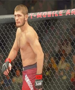 Aesthetic Khabib Nurmagomedov paint by numbers