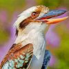 Aesthetic Kookaburra paint by numbers