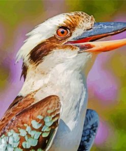 Aesthetic Kookaburra paint by numbers