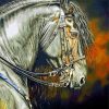 Aesthetic Friesian Horse paint by numbers