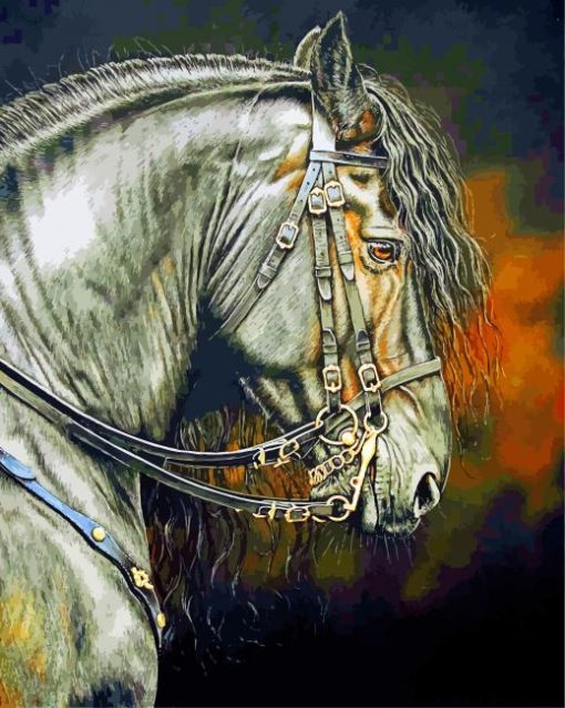 Aesthetic Friesian Horse paint by numbers