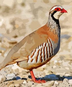 Aesthetic Partridge Bird Animal paint by numbers