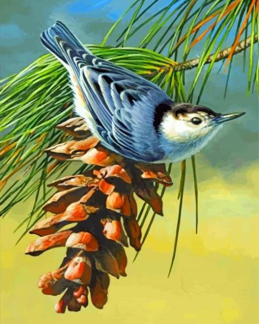 Agrey Nuthatch paint by numbers