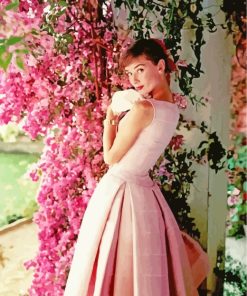 Audrey Hepburn Wearing Pink Dress paint by numbers