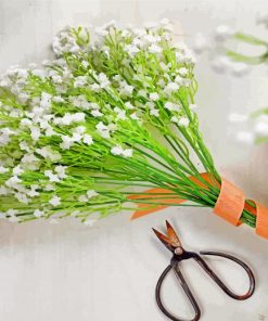 Babys Breath Bouquet paint by numbers