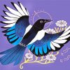 Beautiful Magpie paint by numbers