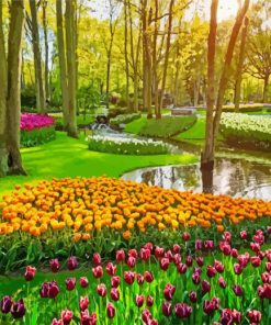 Beautiful Keukenhof Garden paint by numbers