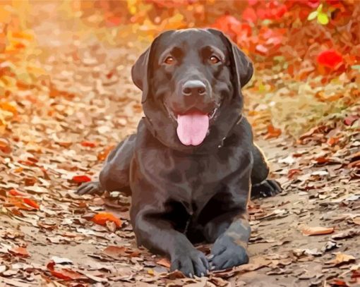 Labrador Retriever Black Dog paint by numbers