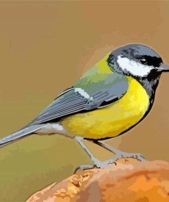 Black And Yellow Parus Birds paint by numbers