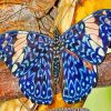 Blue Lepidoptera paint by numbers