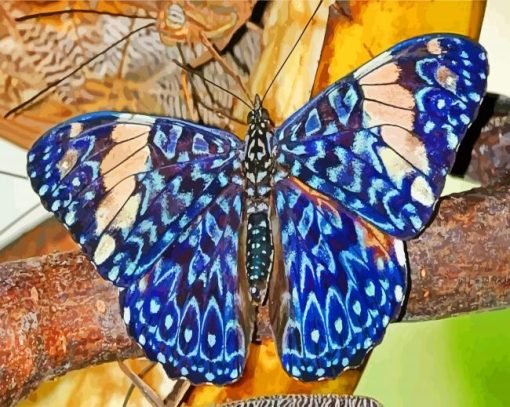 Blue Lepidoptera paint by numbers