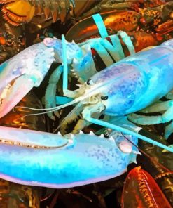 Blue Lobster paint by numbers