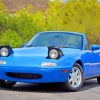 Blue Miata paint by numbers