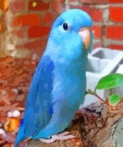 Blue Parrotlet paint by numbers