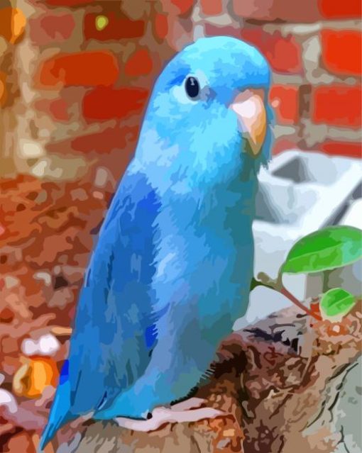 Blue Parrotlet paint by numbers