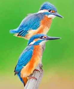 Blue Kingfishers paint by numbers