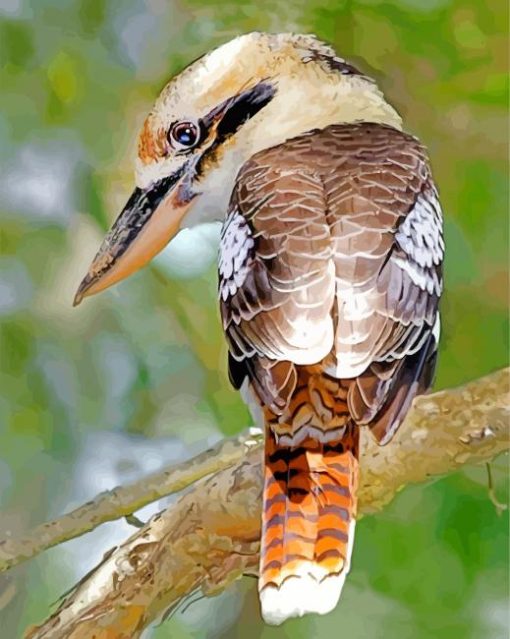 Brown Kookaburra paint by numbers