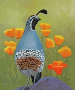 california-quail-paint-by-numbers