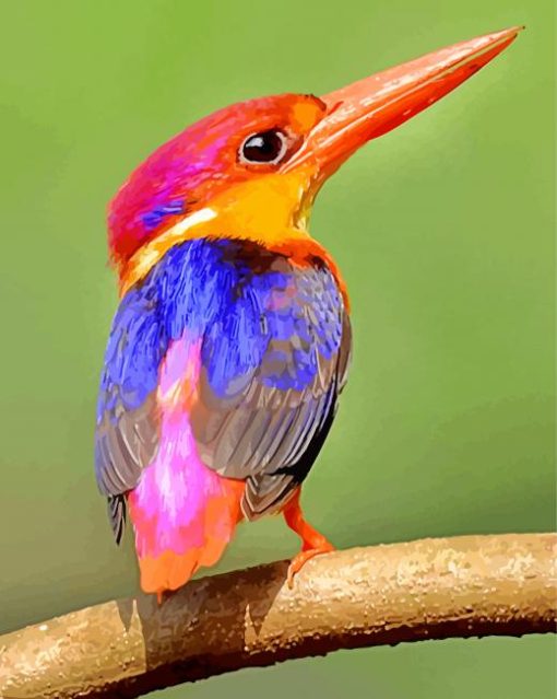 Colorful Kingfishers paint by numbers