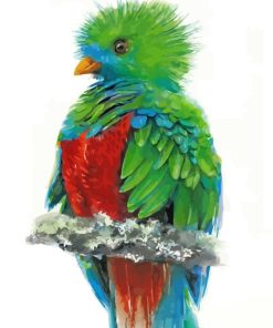 Colorful Quetzal Bird paint by numbers