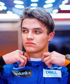 Lando Norris Racing Driver paint by numbers