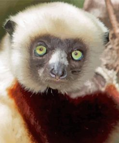 Cute Lemur paint by numbers