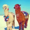 Cute Llamas paint by numbers