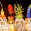 Cute Owls Birds paint by numbers