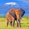 Elephant In Amboseli National Park paint by numbers