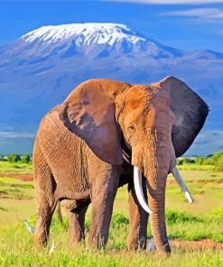 Elephant In Amboseli National Park paint by numbers