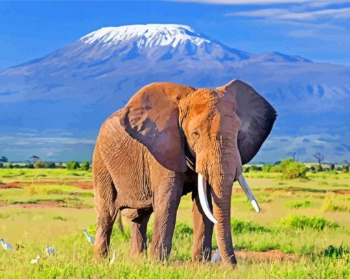 Elephant In Amboseli National Park paint by numbers