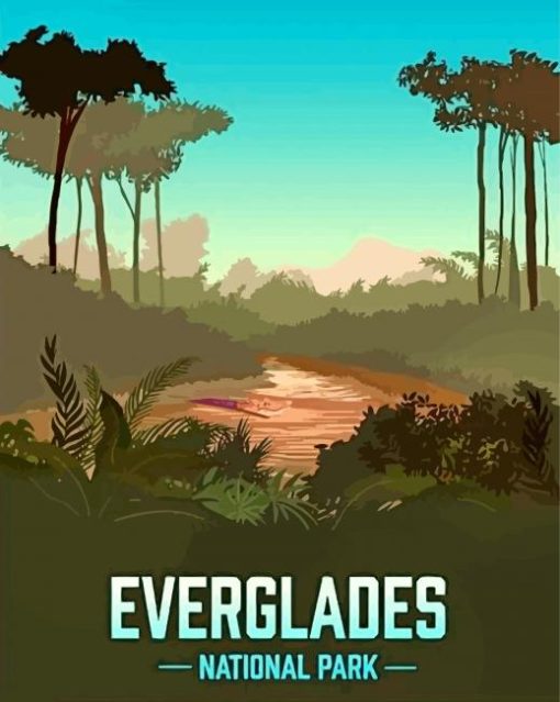 Everglades Florida National Park Illustration-paint-by-number