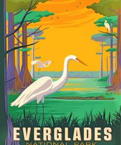 Birds In Everglades National Park Florida-paint-by-numbers