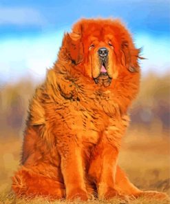 Fluffy English Mastiff paint by numbers