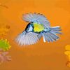 Flying Parus paint by numbers