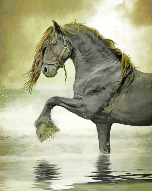 friesian-art-paint-by-numbers