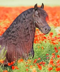 Friesian In Flowers paint by numbers