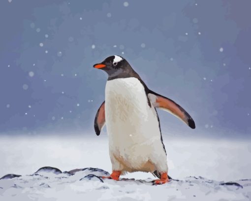 Gentoo Penguin Bird paint by numbers