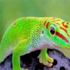 Green Gecko paint by numbers