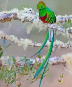 Green Quetzal Bird paint by numbers