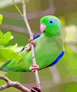 Green And Blue Parrotlet paint by numbers