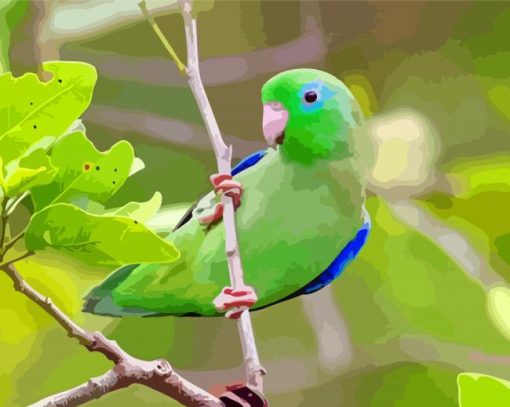 Green And Blue Parrotlet paint by numbers